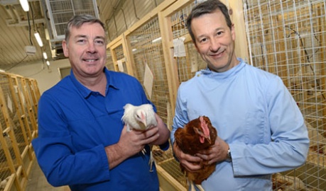 photo of research team with hens - credit NARF, University of Edinburgh