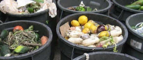 photo of food waste in bins