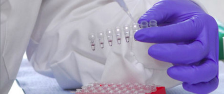 photo of lab researcher checking test tubes- credit University of Edinburgh