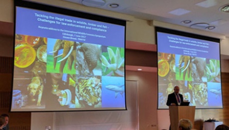 Photo of presentation at Society for Wildlife Forensic Sciences annual symposium in Edinburgh