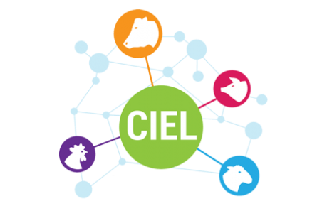 logo for Centre for Innovation Excellence in Livestock - credit CIEL