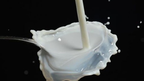 Photo of milk splashing on spoon - credit The Roslin Institute, University of Edinburgh