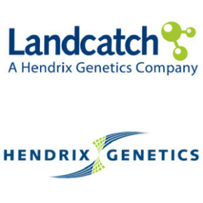 Landcatch Hendrix logo