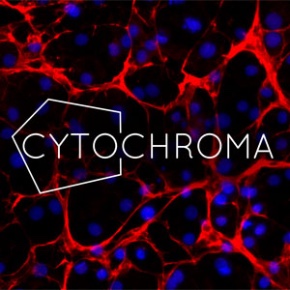 Cytochroma logo