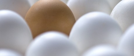 hen eggs - credit University of Edinburgh