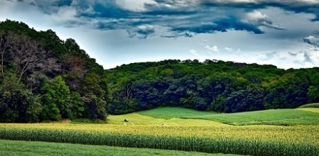 field of crops - credit SRUC