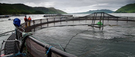 Scottish Fish farm for Aquaculture - A3 Scotland 2020 conference