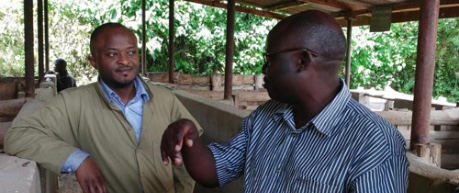 Roslin scientist Dr Adrian Muwonge on an Ugandan pig farm - credit the Roslin Institute