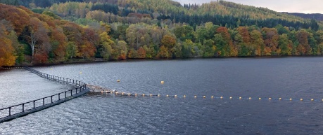 Salmon on ice - credit Roslin Innovation Centre