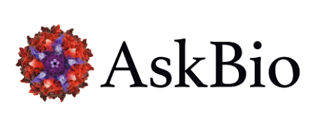 AskBio logo - credit Asklepios BioPharmaceutical, Inc.