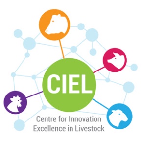 Centre for Innovation Excellence in Livestock (CIEL) logo