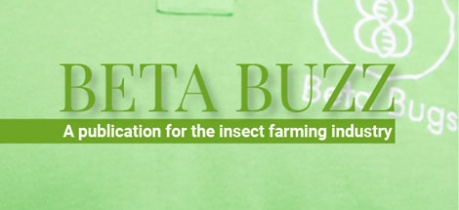 Beta Buzz, a publication for insect farming industry by Beta Bugs Ltd