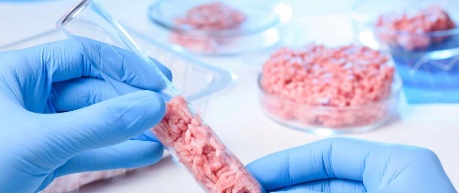 Cultivated meat in test tube at lab - Roslin Technologies