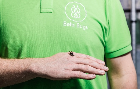 Beta Bugs with a Black Soldier Fly  - Roslin Innovation Centre tenant