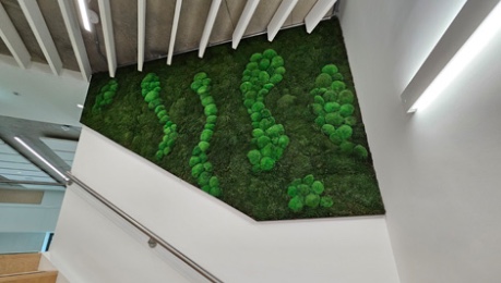 Roslin Innovation Centre Agri Hub - moss zone feature on stair between level 1 and 2