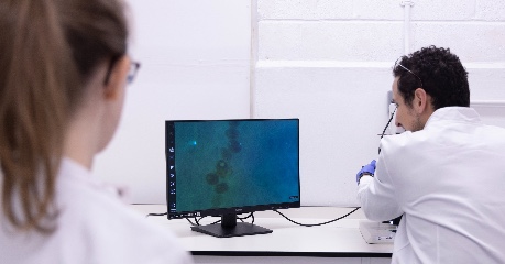 Oxitec team in the lab space