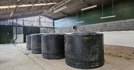 Barn interior with water tanks for aquaculture purposes