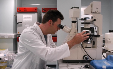 Working in lab at microscope