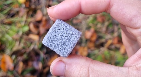 Rhizocore Technologies pellet
