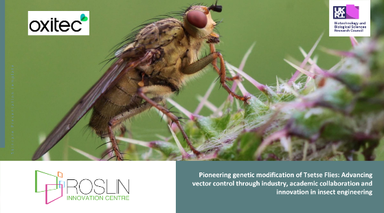 Oxitec Case Study - CIA Award Roslin Innovation Centre
