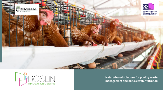 Rhizocore Technologies Case Study - CIA Award Roslin Innovation Centre