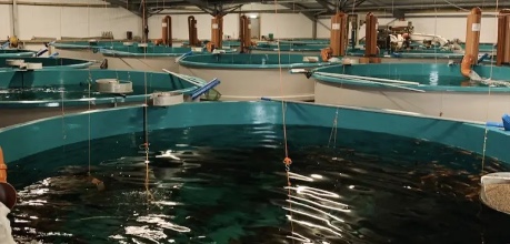 UK Agri Tech Centre Marine Aquaculture Innovation Centre facility