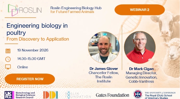 Engineering Biology in Poultry webinar graphic